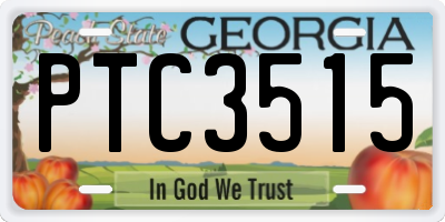 GA license plate PTC3515