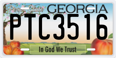 GA license plate PTC3516