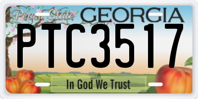 GA license plate PTC3517