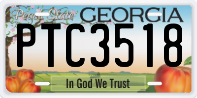 GA license plate PTC3518