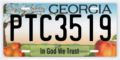 GA license plate PTC3519