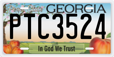 GA license plate PTC3524
