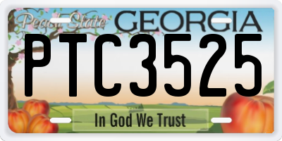 GA license plate PTC3525