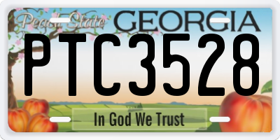 GA license plate PTC3528