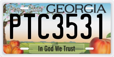 GA license plate PTC3531