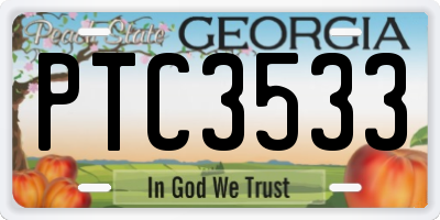 GA license plate PTC3533