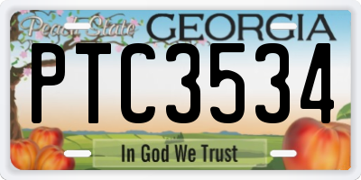 GA license plate PTC3534