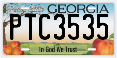 GA license plate PTC3535