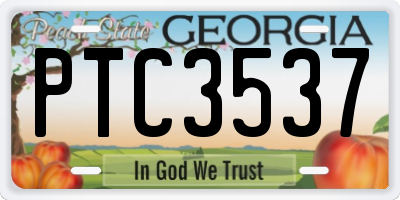 GA license plate PTC3537