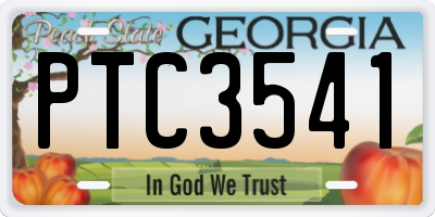 GA license plate PTC3541
