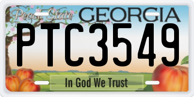 GA license plate PTC3549