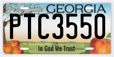 GA license plate PTC3550