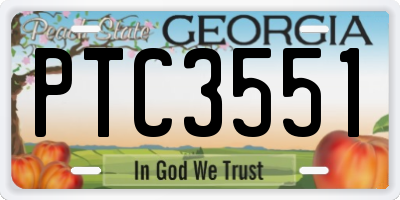 GA license plate PTC3551