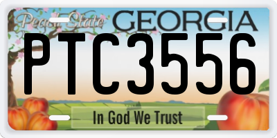 GA license plate PTC3556