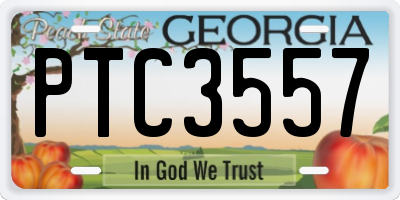 GA license plate PTC3557
