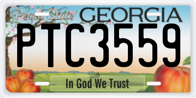 GA license plate PTC3559