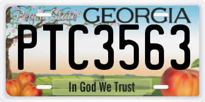 GA license plate PTC3563
