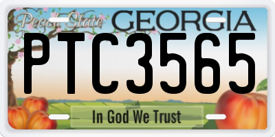 GA license plate PTC3565