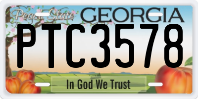 GA license plate PTC3578