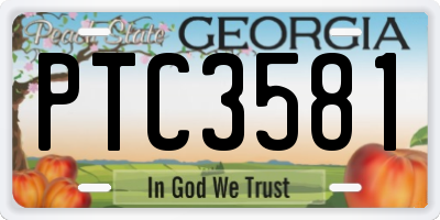 GA license plate PTC3581