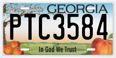 GA license plate PTC3584