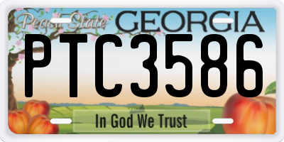 GA license plate PTC3586