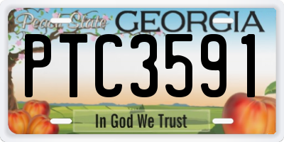 GA license plate PTC3591