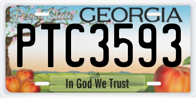 GA license plate PTC3593