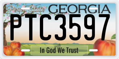 GA license plate PTC3597