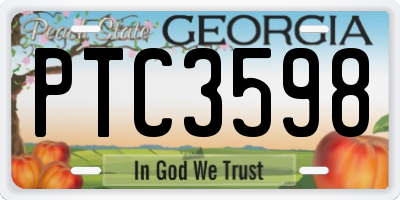 GA license plate PTC3598