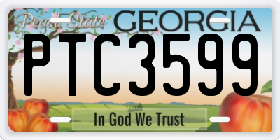 GA license plate PTC3599