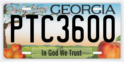 GA license plate PTC3600
