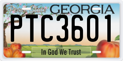 GA license plate PTC3601