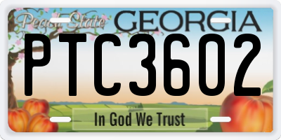 GA license plate PTC3602
