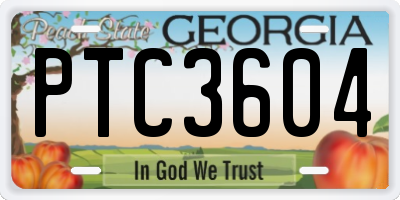 GA license plate PTC3604