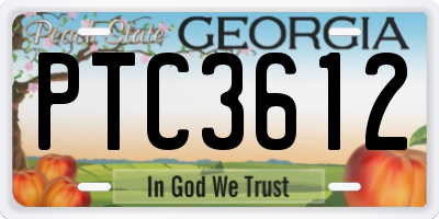 GA license plate PTC3612
