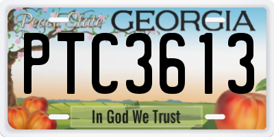 GA license plate PTC3613