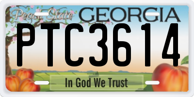 GA license plate PTC3614