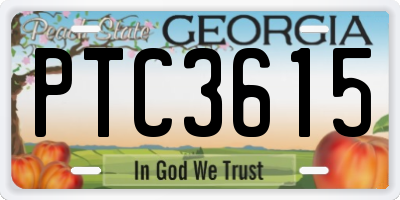 GA license plate PTC3615