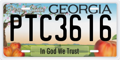 GA license plate PTC3616