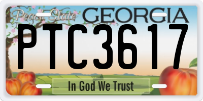 GA license plate PTC3617