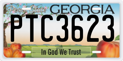 GA license plate PTC3623