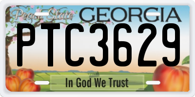 GA license plate PTC3629