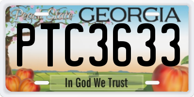 GA license plate PTC3633