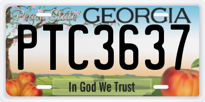 GA license plate PTC3637