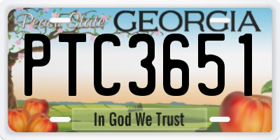 GA license plate PTC3651