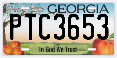 GA license plate PTC3653