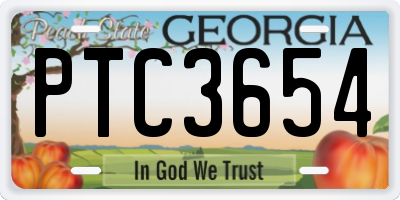 GA license plate PTC3654