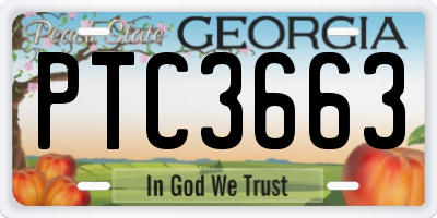 GA license plate PTC3663