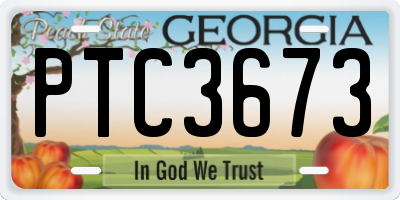 GA license plate PTC3673